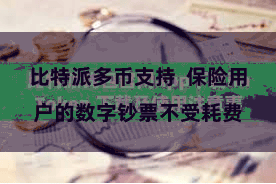 比特派多币支持  保险用户的数字钞票不受耗费